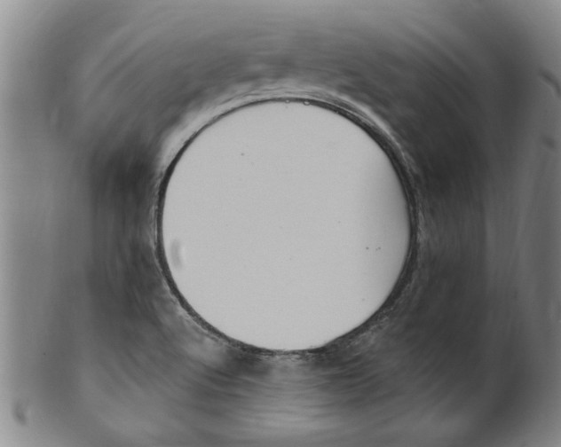 X0000099481512200806061232
