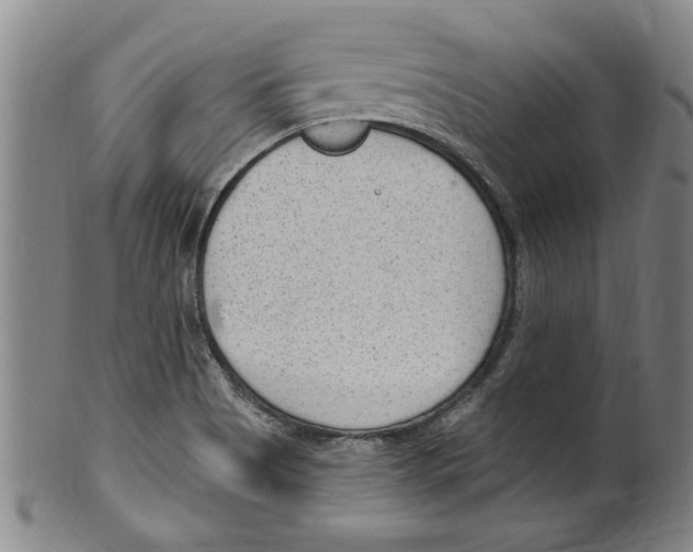 X0000099481513200806061232
