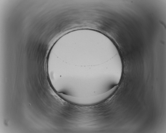 X0000099481516200806061232