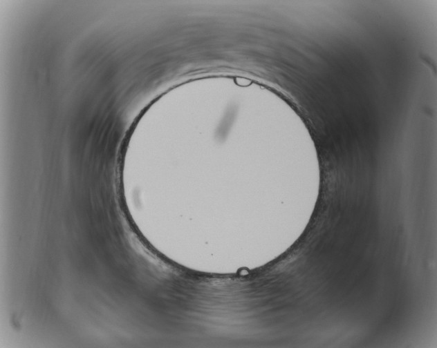 X0000099481518200806061232