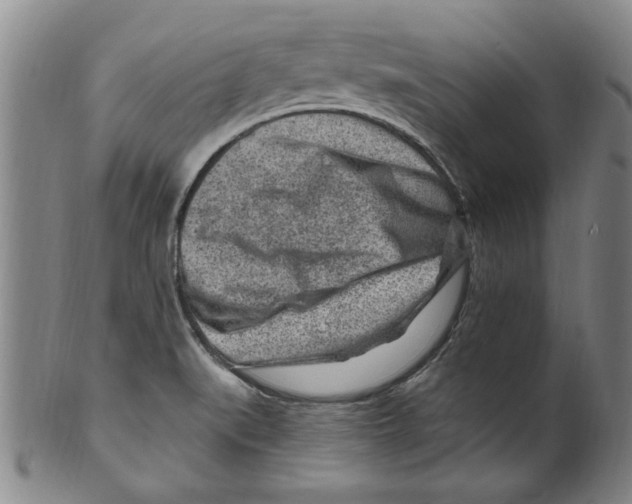 X0000099481519200806061232