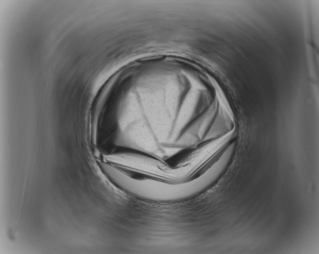 X0000099481520200806061232