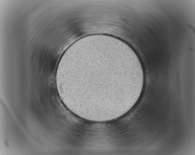 X0000099481521200806061232