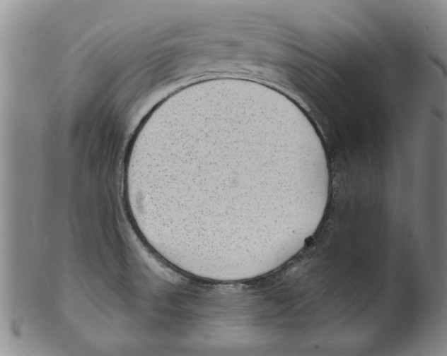 X0000099481523200806061232