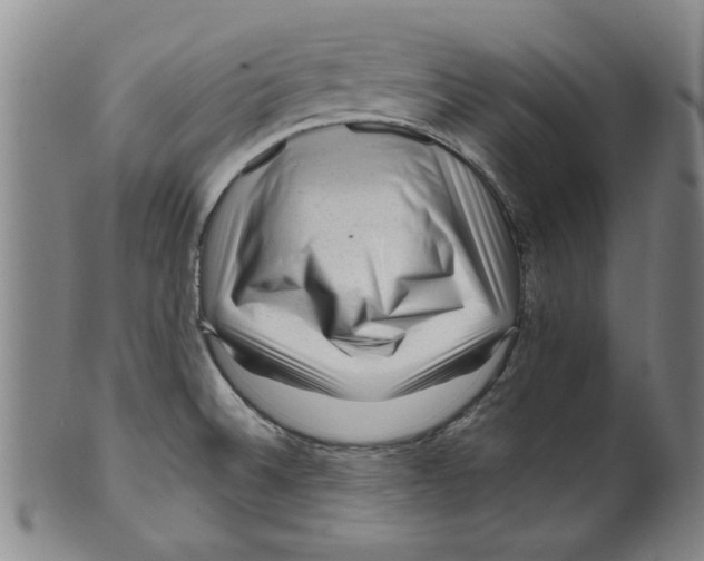 X0000099481524200806061232