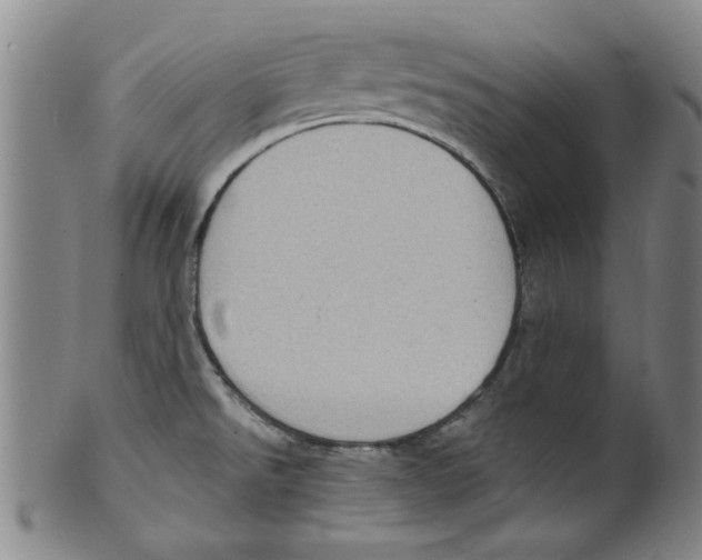 X0000099481526200806061232