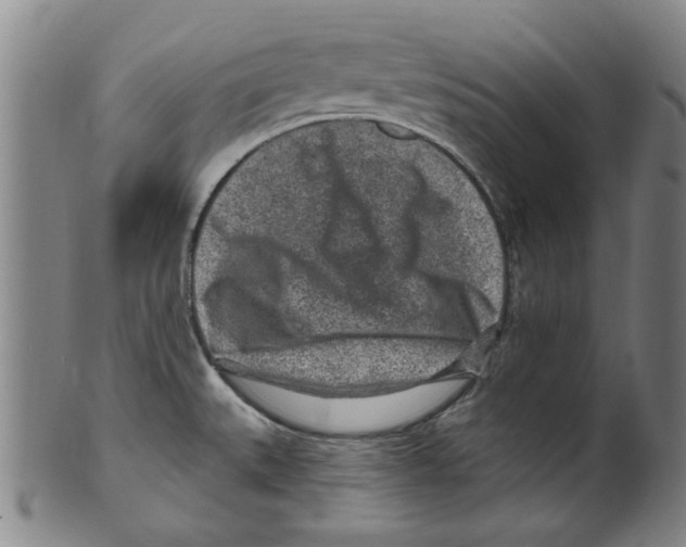 X0000099481527200806061232