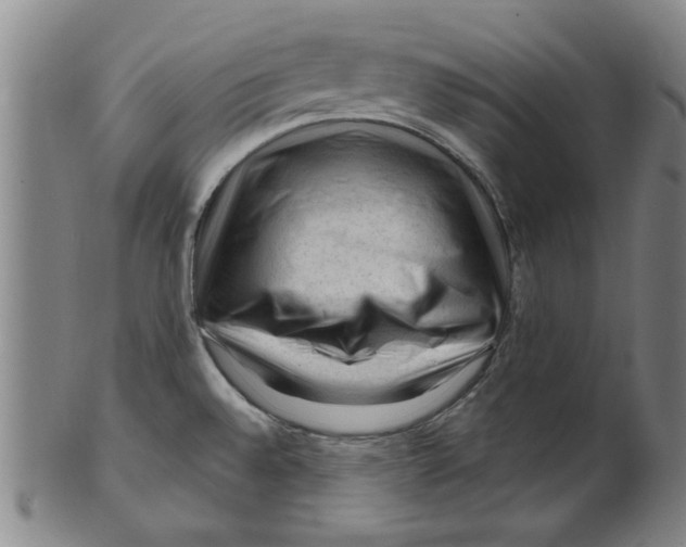 X0000099481528200806061232