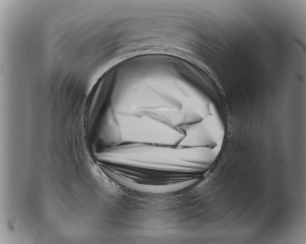 X0000099481530200806061232