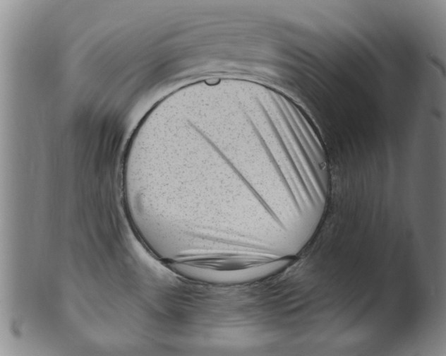 X0000099481531200806061232