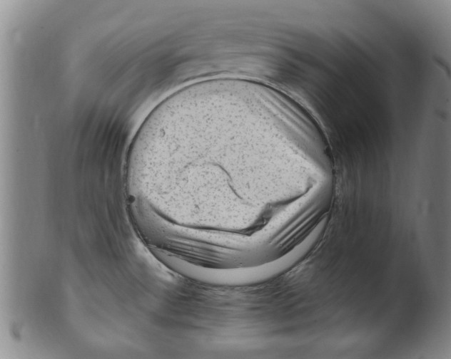 X0000099481532200806061232