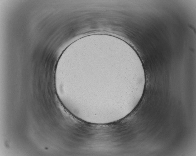 X0000099481534200806061232