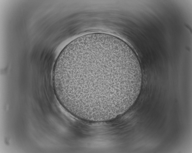 X0000099481535200806061232