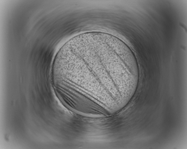 X0000099481536200806061232
