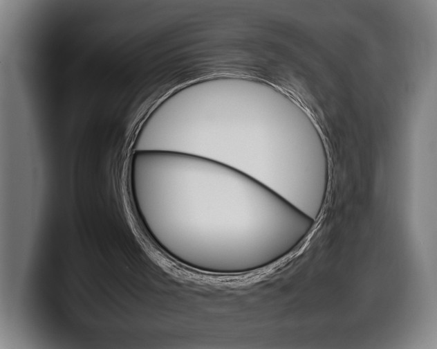 X0000099490001200805150938