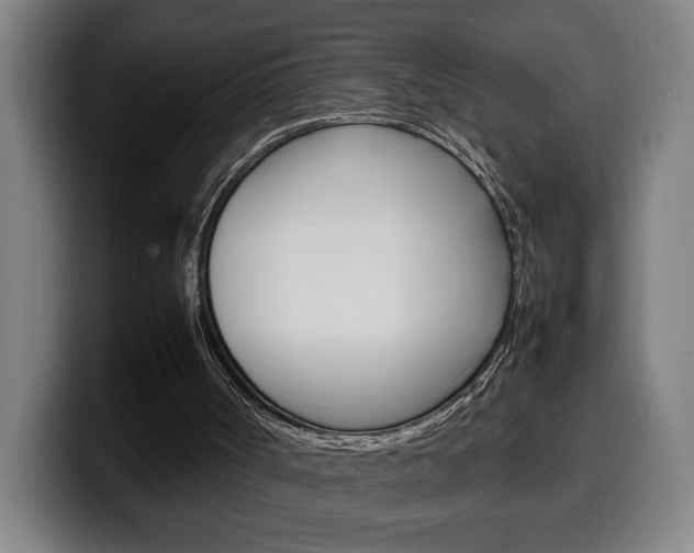 X0000099490002200805150938