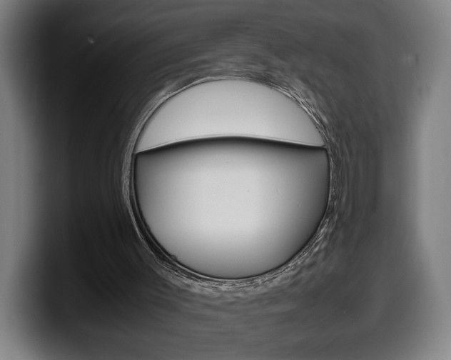 X0000099490003200805150938