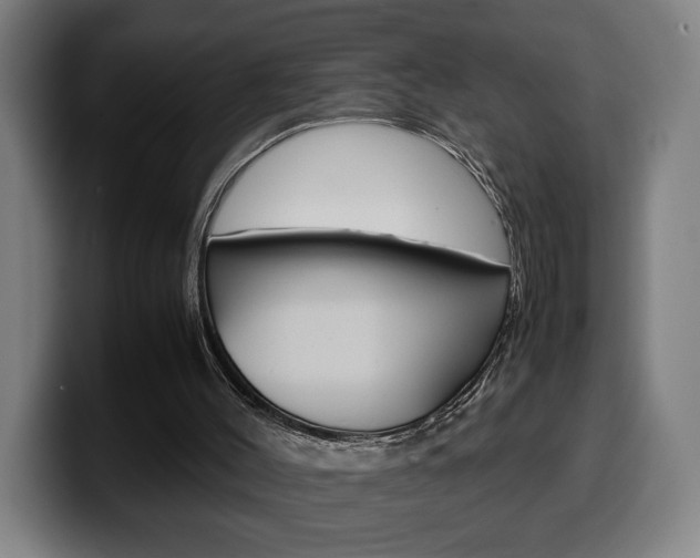 X0000099490004200805150938