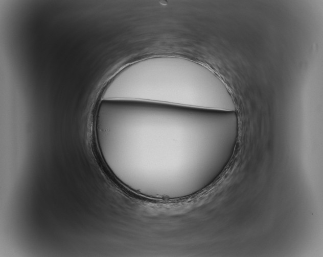 X0000099490005200805150938