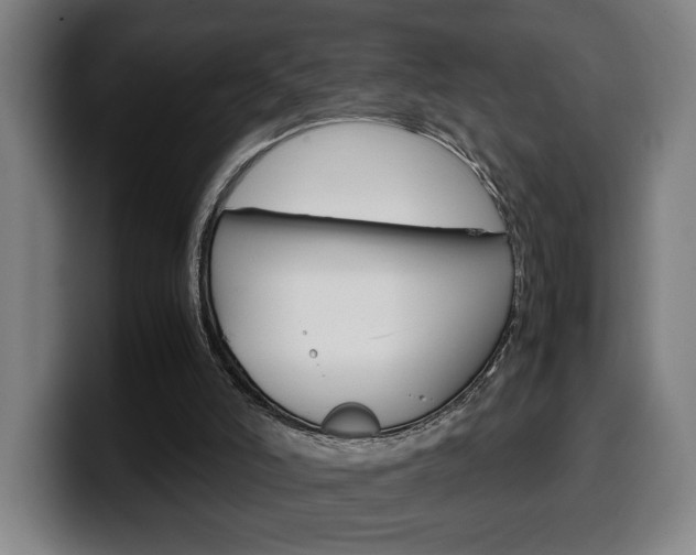 X0000099490006200805150938