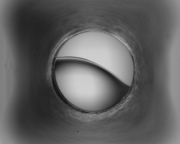 X0000099490007200805150938