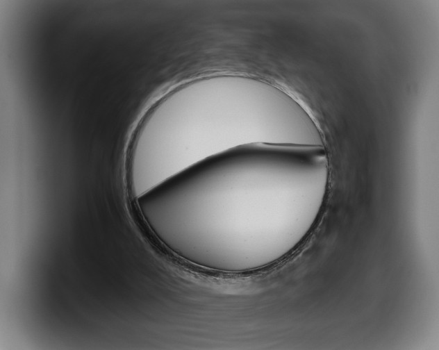 X0000099490008200805150938