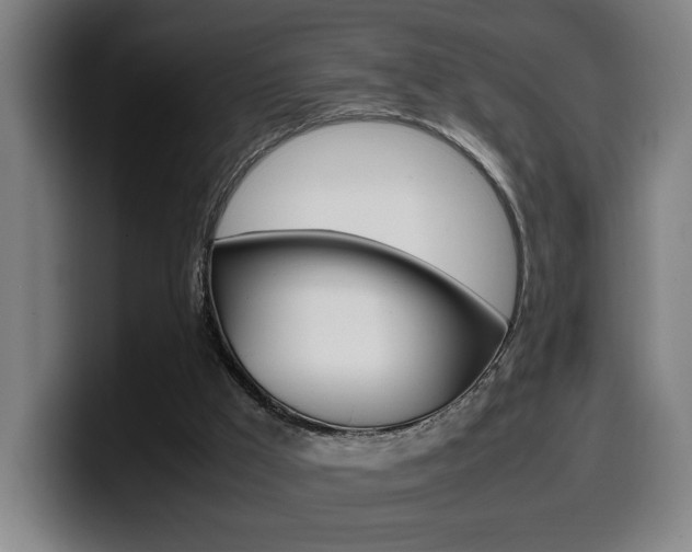 X0000099490009200805150938