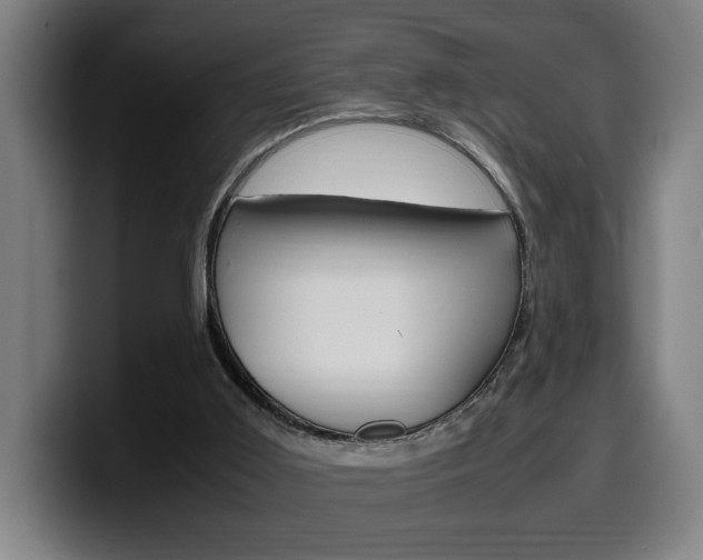X0000099490011200805150938