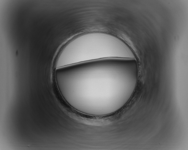 X0000099490012200805150938