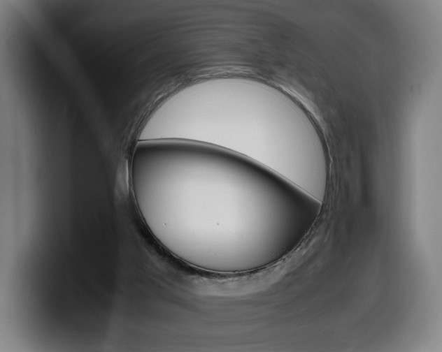 X0000099490013200805150938