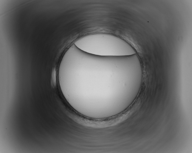 X0000099490014200805150938