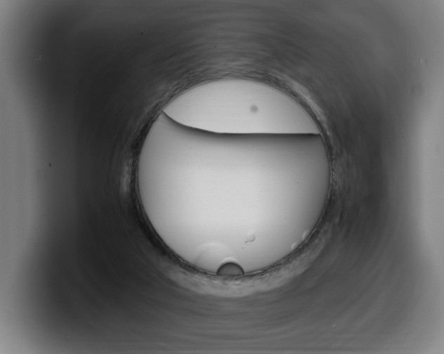 X0000099490018200805150938