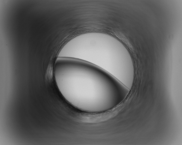 X0000099490021200805150938
