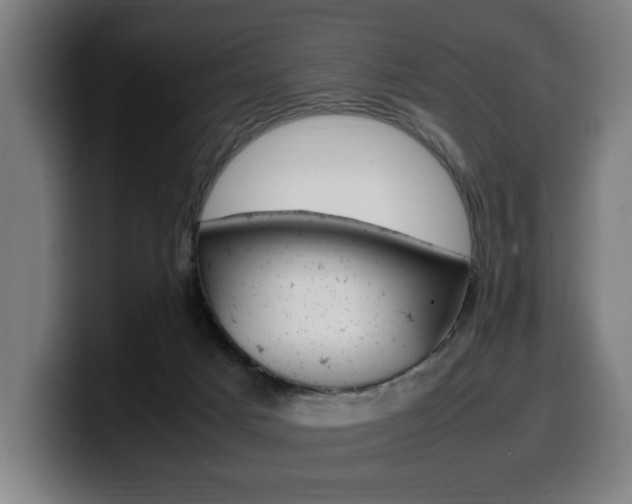 X0000099490025200805150938