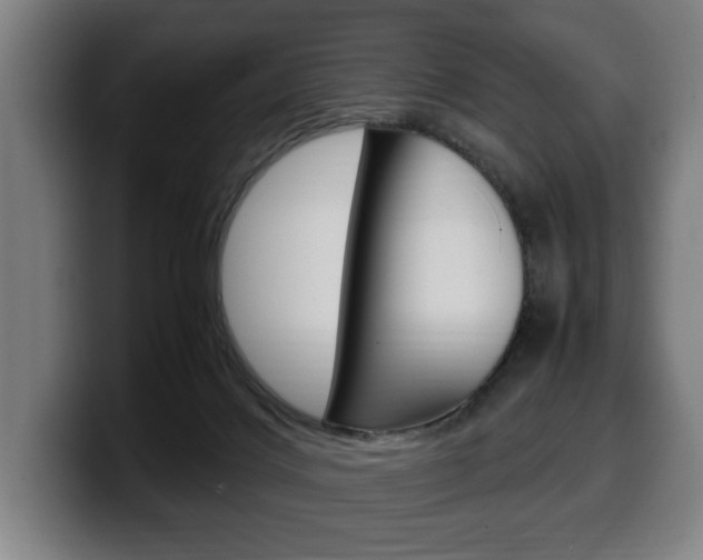 X0000099490028200805150938
