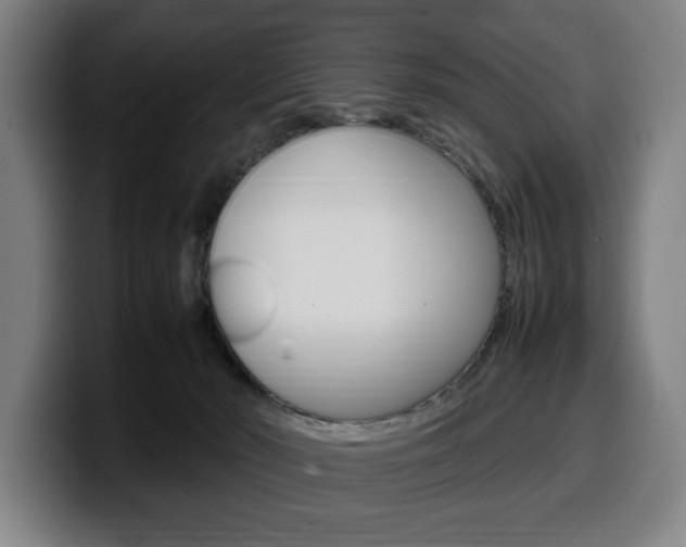 X0000099490030200805150937