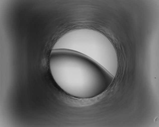 X0000099490031200805150937