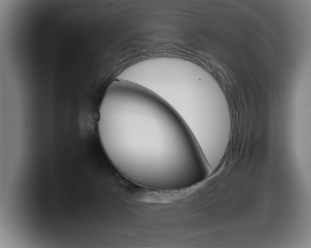 X0000099490033200805150937