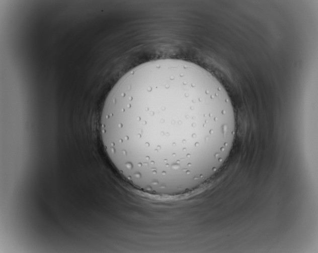 X0000099490034200805150937
