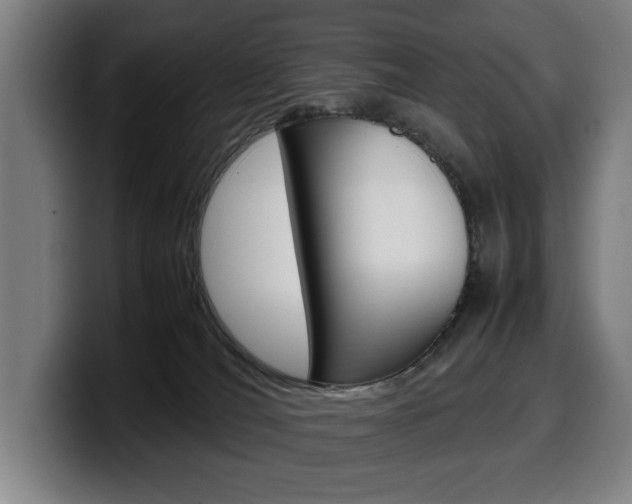 X0000099490036200805150937