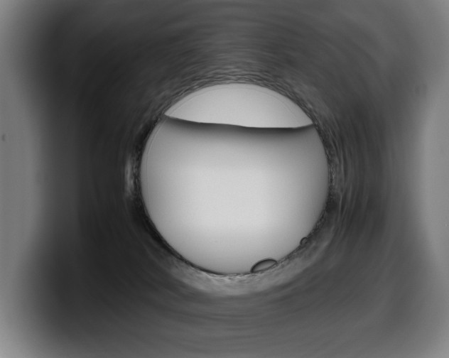 X0000099490038200805150937
