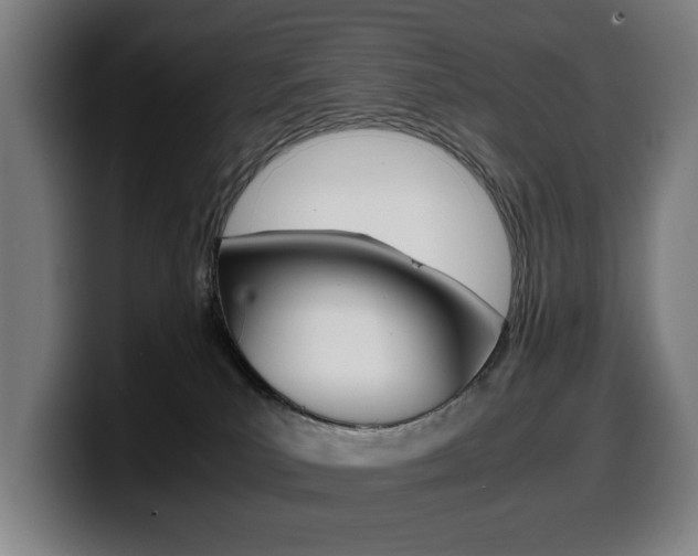 X0000099490039200805150937