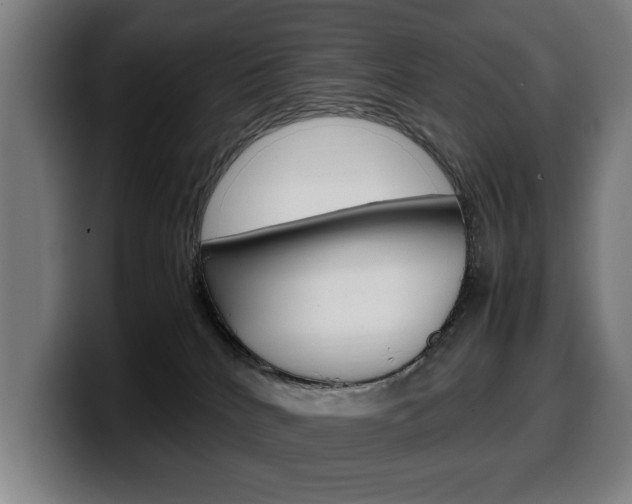 X0000099490040200805150937