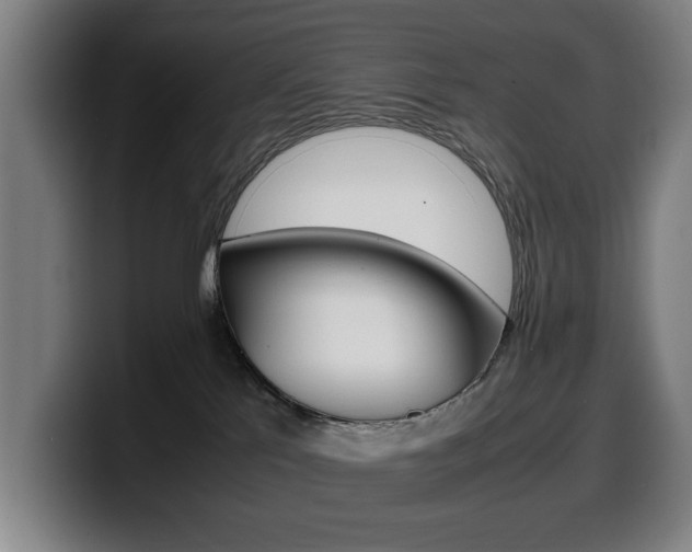 X0000099490041200805150937
