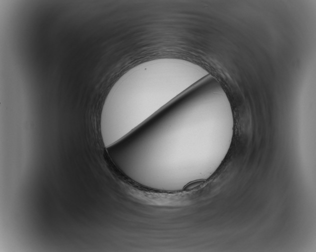 X0000099490044200805150937