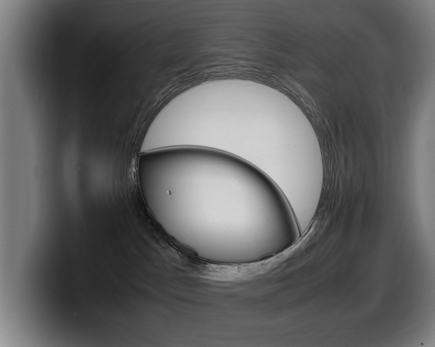 X0000099490045200805150937