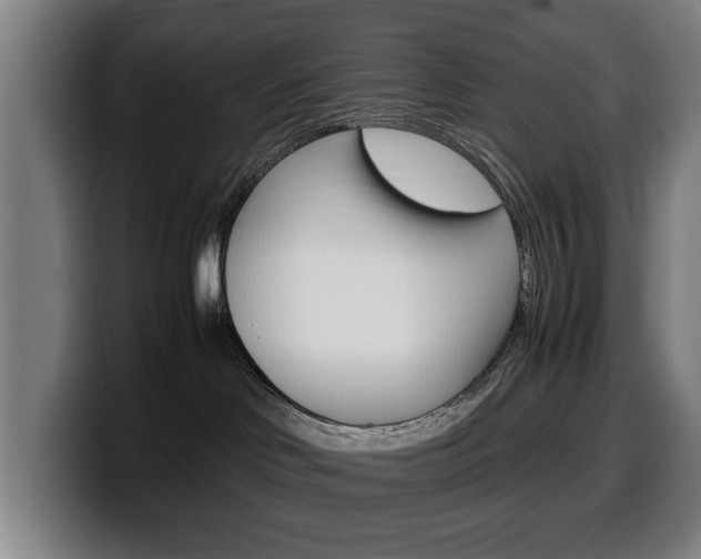 X0000099490046200805150937