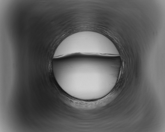 X0000099490048200805150937