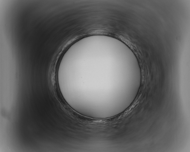 X0000099490050200805150937