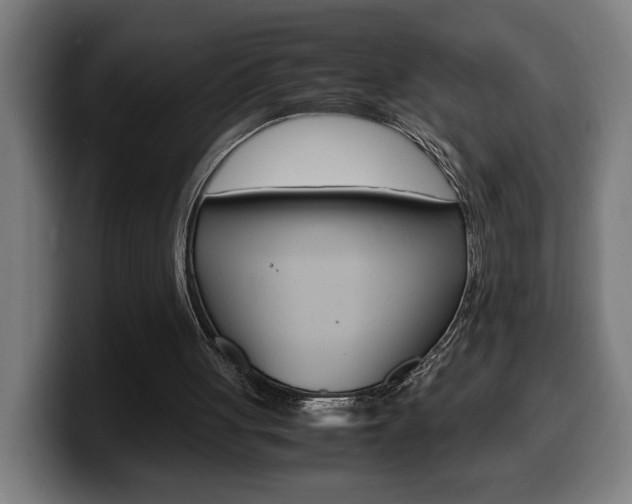X0000099490051200805150937